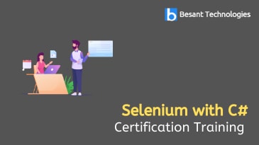 Selenium with C# Training in Tambaram